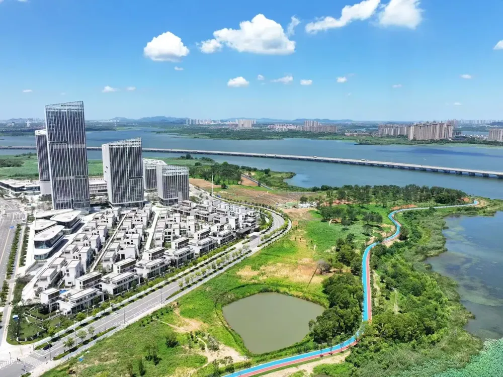 后官湖畔“强沌口”(图7)