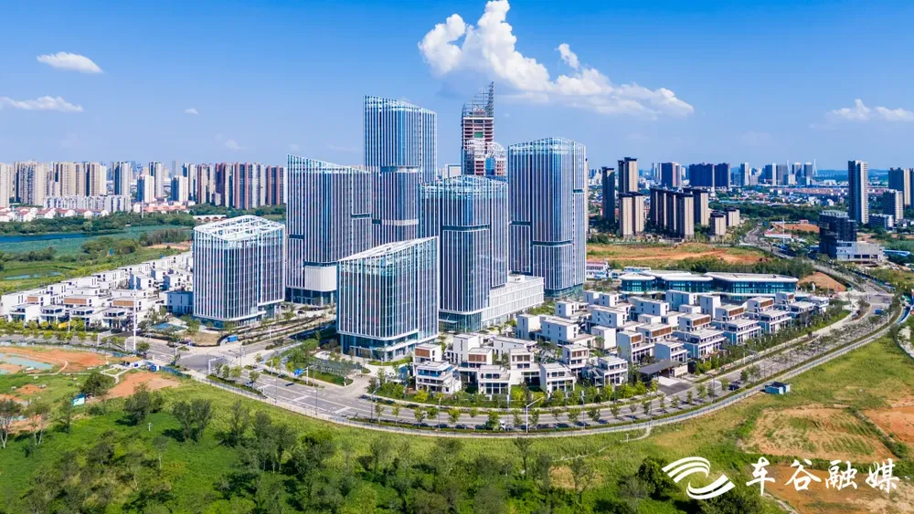 后官湖畔“强沌口”(图6)