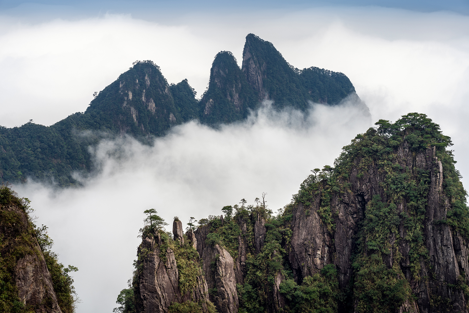 绿色发展新答卷(图5)