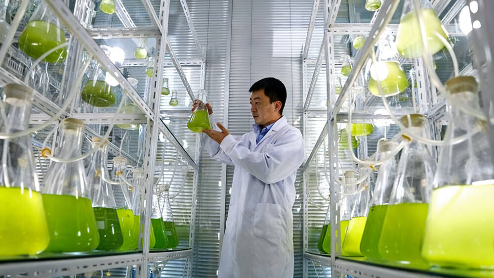 山东省绿色低碳技术成果目录发布德州5项技术入选(图2)