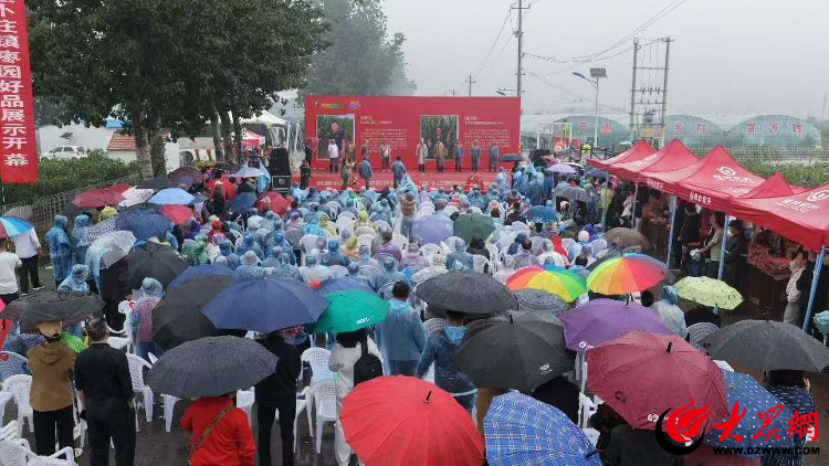 潍坊昌邑：“农”墨重彩绘“丰”景