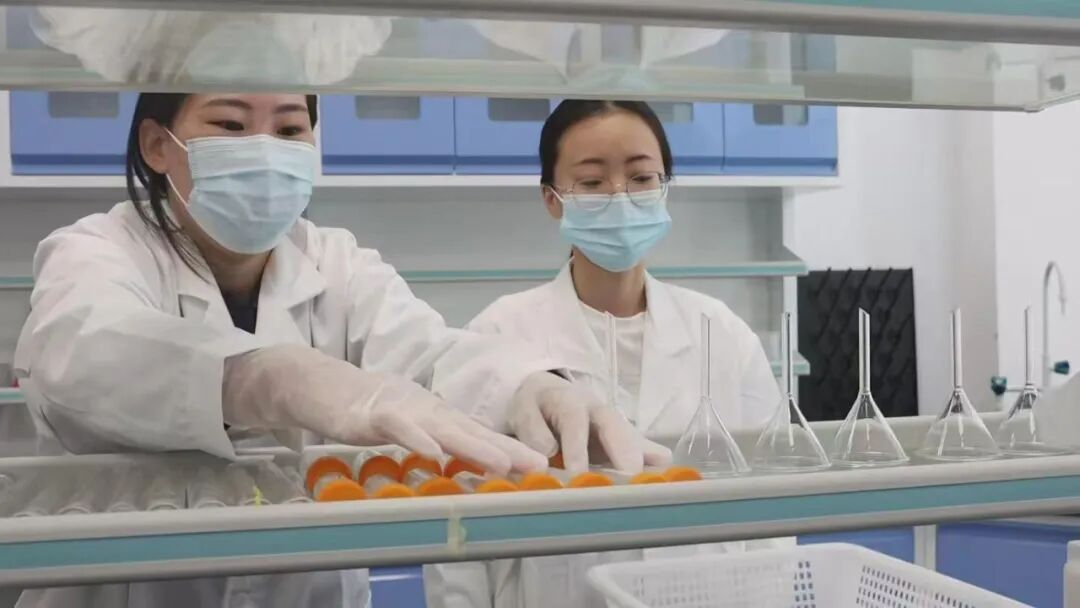 昔阳县：科技赋能让煤矸石从“生态包袱”蜕变为“绿色富矿”