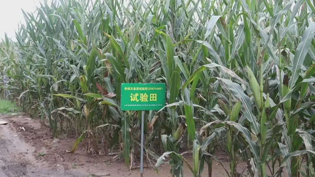 昔阳县：科技赋能让煤矸石从“生态包袱”蜕变为“绿色富矿”(图2)