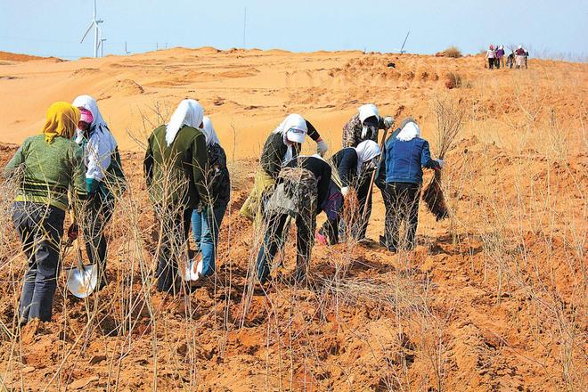 一天“吞”掉40亩沙漠？中国发明的“吞沙巨兽”已在甘肃启用！(图12)