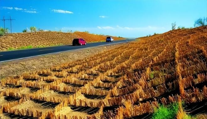 一天“吞”掉40亩沙漠？中国发明的“吞沙巨兽”已在甘肃启用！(图8)