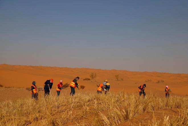 一天“吞”掉40亩沙漠？中国发明的“吞沙巨兽”已在甘肃启用！(图15)