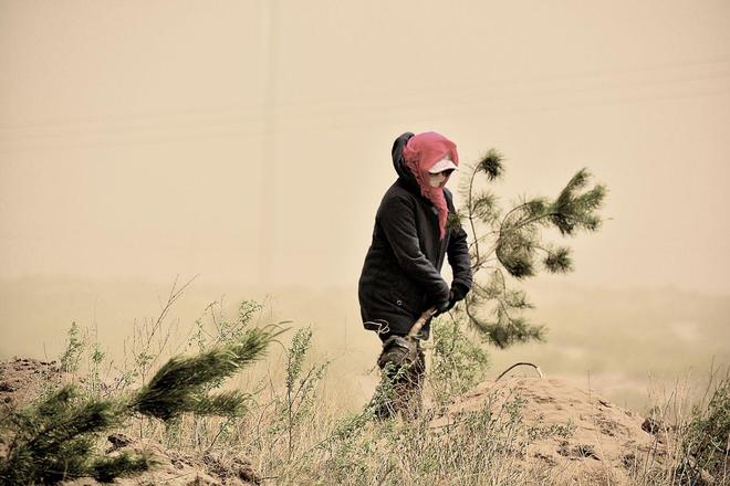 一天“吞”掉40亩沙漠？中国发明的“吞沙巨兽”已在甘肃启用！(图14)