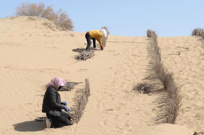 一天“吞”掉40亩沙漠？中国发明的“吞沙巨兽”已在甘肃启用！(图18)