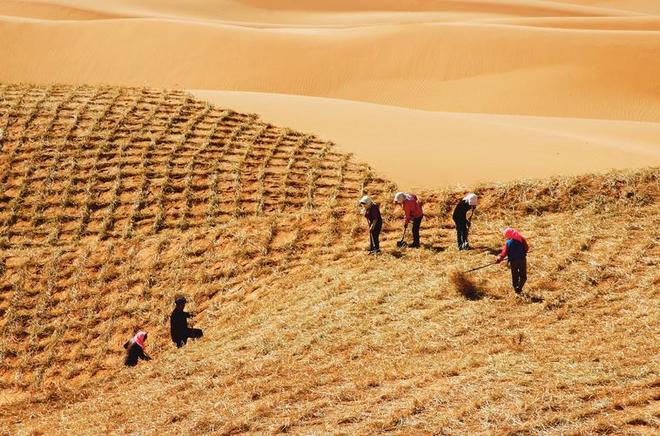 一天“吞”掉40亩沙漠？中国发明的“吞沙巨兽”已在甘肃启用！(图19)