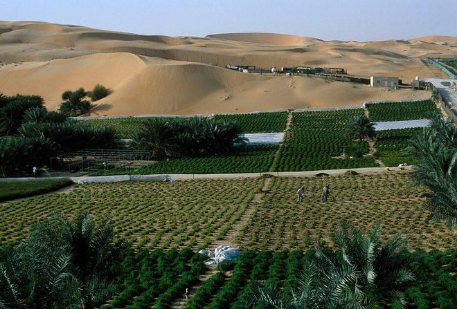 一天“吞”掉40亩沙漠？中国发明的“吞沙巨兽”已在甘肃启用！(图20)