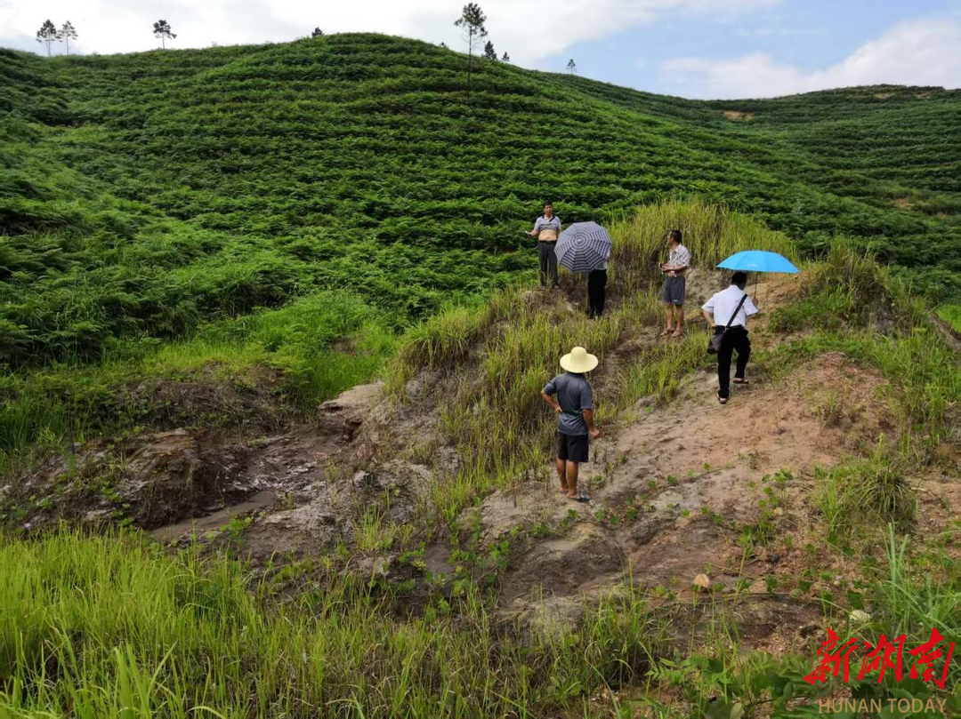 耒阳：擦亮“生态高颜值”守护天蓝水清土净(图4)