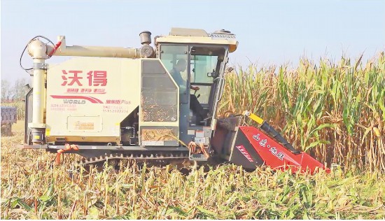 无人机腾空“抢金”山东科技秋收加速