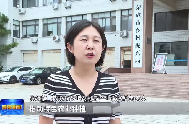 陆海协同荣成打造沿海农业绿色转型新高地(图3)