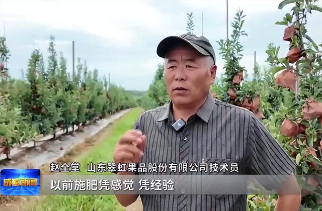 陆海协同荣成打造沿海农业绿色转型新高地