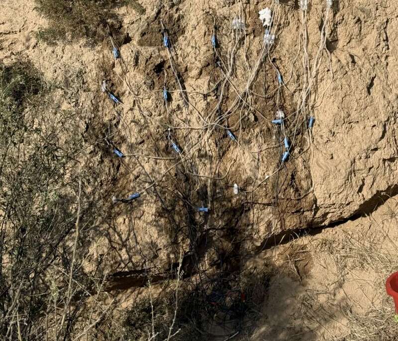 用科技为丝绸之路土遗址“问诊疗伤”