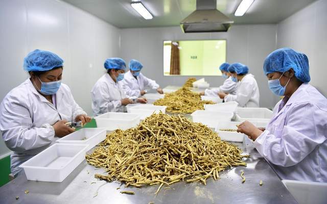 颐阳牌西洋参口服液戴上“小蓝帽”(图1)