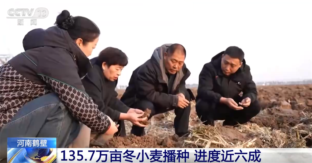 “农机+农技”“机械+人工”提质增效秋收冬种工作有序推进(图2)