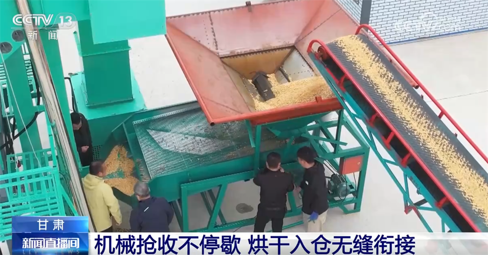 “农机+农技”“机械+人工”提质增效秋收冬种工作有序推进(图6)