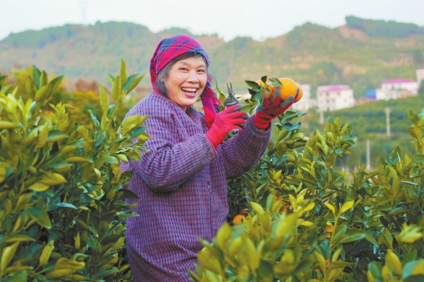 “新征程新样范——中国式现代化在湖南的实践”大型主题宣传活动在邵阳成功举行——捕