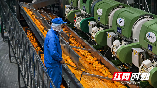 时刻观察｜如何打造中国式现代化“新样范”？邵阳这样干！