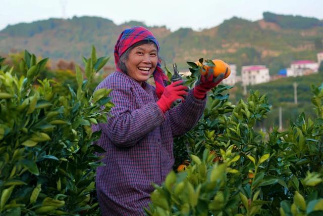 “点亮世界”的邵阳何以再燃“新火种”？