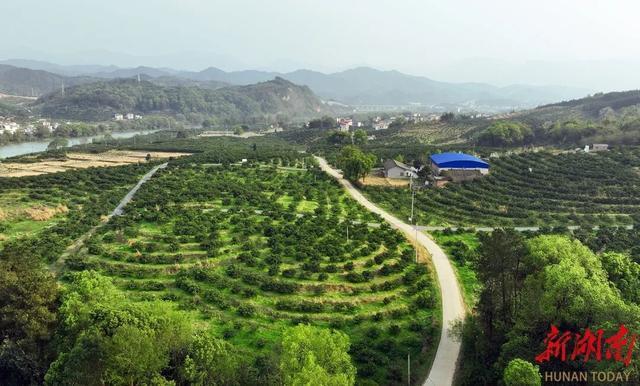 “点亮世界”的邵阳何以再燃“新火种”？(图2)