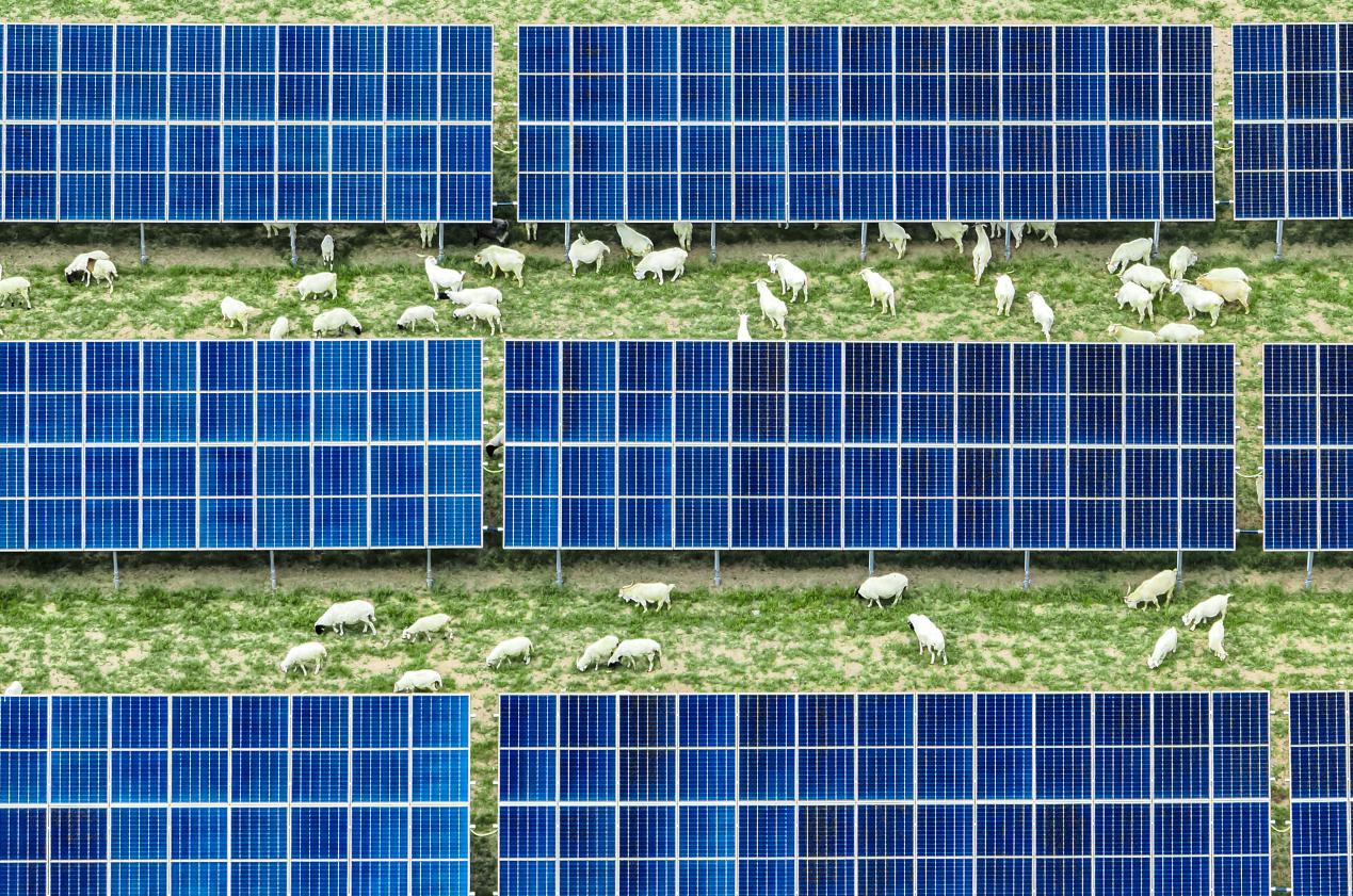 “沙戈荒”上的绿色能源答卷能源强国品牌路系列报道①(图2)