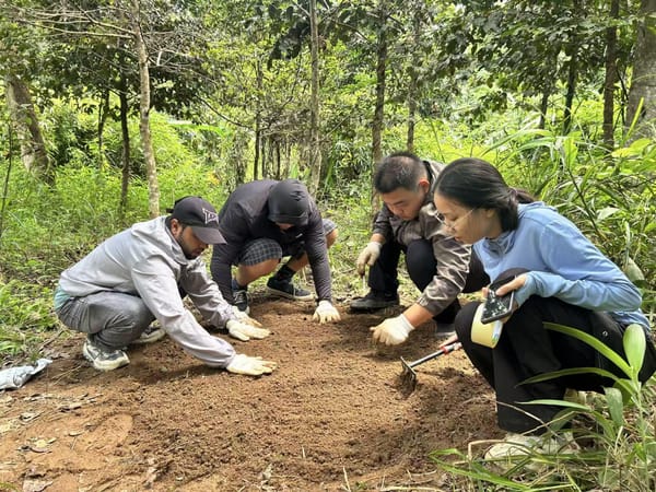 三亚观测站联合海南大学开展森林土壤修复与