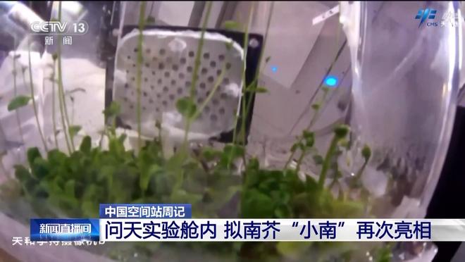 丨太空“出差”快两个月神二十一乘组都做了哪些工作？