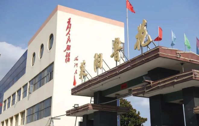 一粒花生串起共富路鲁花全链赋能乡村振兴(图3)