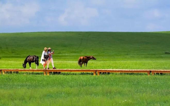 【生态文明示范创建】乌拉盖：绿染天边草原绘就生态新篇(图3)