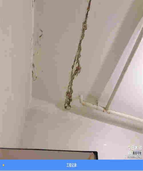 石河子民宿房屋安全质量鉴定报告(图3)