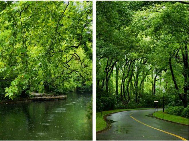 西郊云庐售楼处_西郊云庐(营销中心)网站_售楼处地址_电话_价格曝光_最新房源情况_户型_中心电线小时咨询热线(图7)