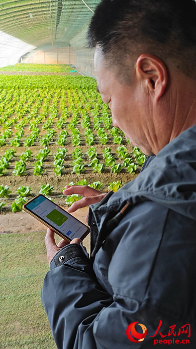 新春走基层丨乡村大棚里的一键“春耕”(图1)