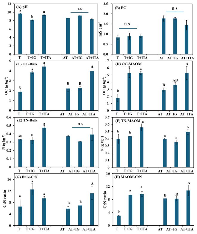 【专家视角】EST铁尾矿中有机质的微生物加工与矿物稳定作用：基于同位素标记与亚微米尺度(图1)