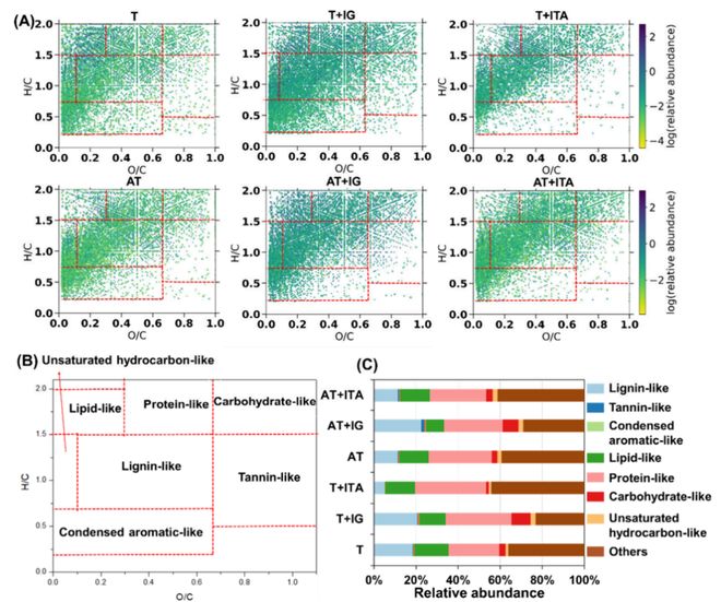 【专家视角】EST铁尾矿中有机质的微生物加工与矿物稳定作用：基于同位素标记与亚微米尺度(图2)