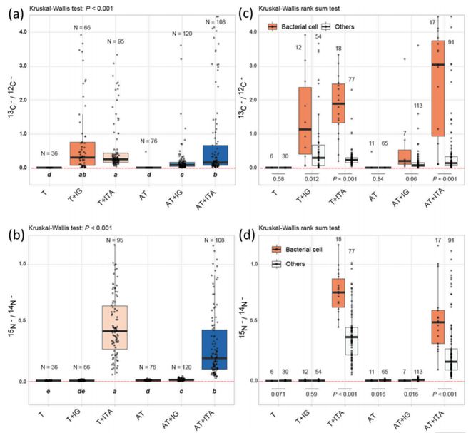 【专家视角】EST铁尾矿中有机质的微生物加工与矿物稳定作用：基于同位素标记与亚微米尺度(图4)