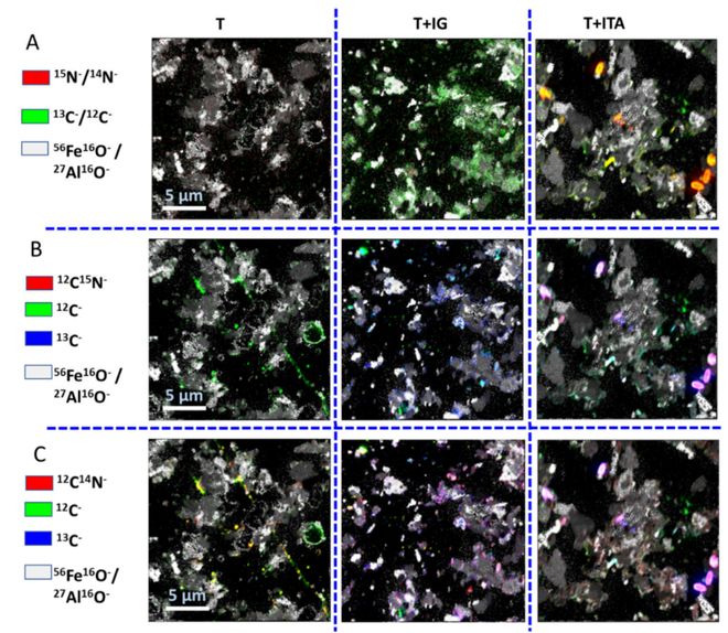 【专家视角】EST铁尾矿中有机质的微生物加工与矿物稳定作用：基于同位素标记与亚微米尺度(图5)