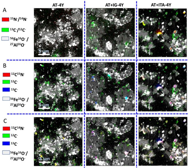 【专家视角】EST铁尾矿中有机质的微生物加工与矿物稳定作用：基于同位素标记与亚微米尺度(图6)