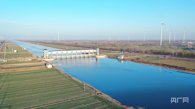 久久为功护生态德州绘就天蓝水清地绿新画卷(图2)