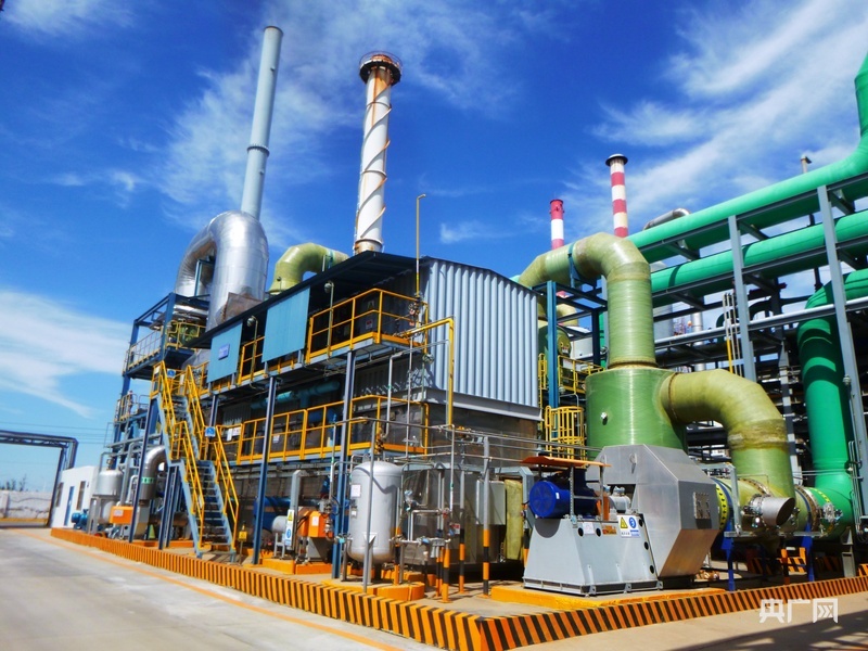 久久为功护生态德州绘就天蓝水清地绿新画卷(图3)