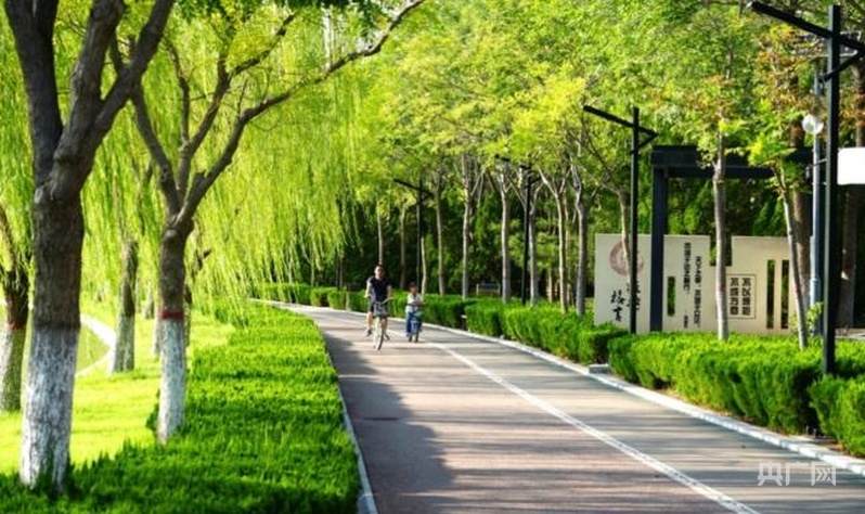 久久为功护生态德州绘就天蓝水清地绿新画卷(图6)