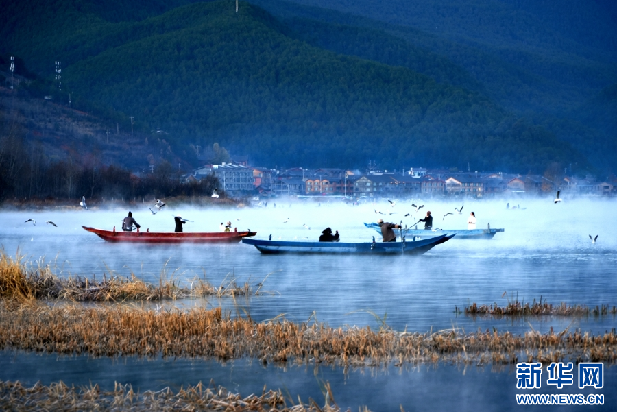 丽江宁蒗：让生态底色更亮发展成色更足_新华网(图4)