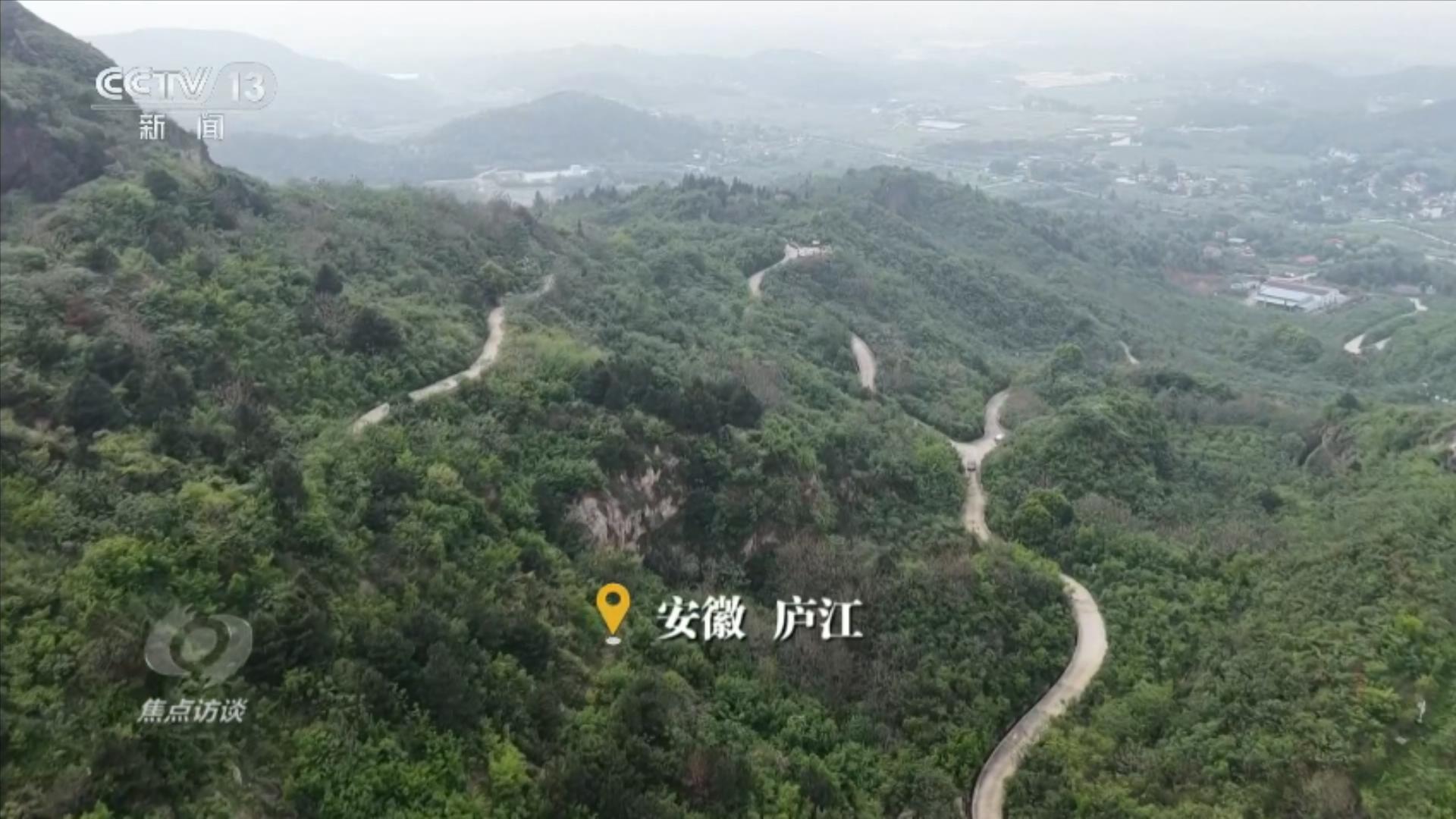 焦点访谈｜山海作答：中国生态修复的系统答卷(图1)