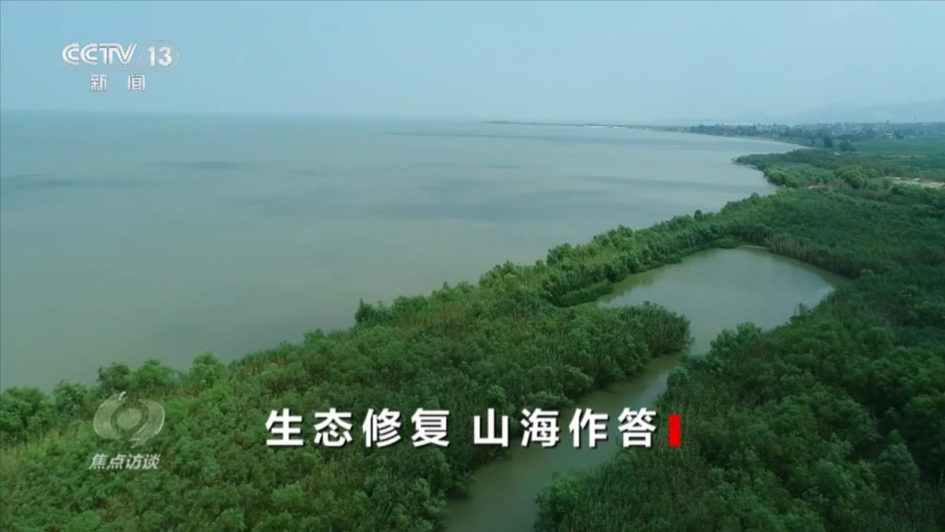 焦点访谈｜山海作答：中国生态修复的系统答卷(图2)