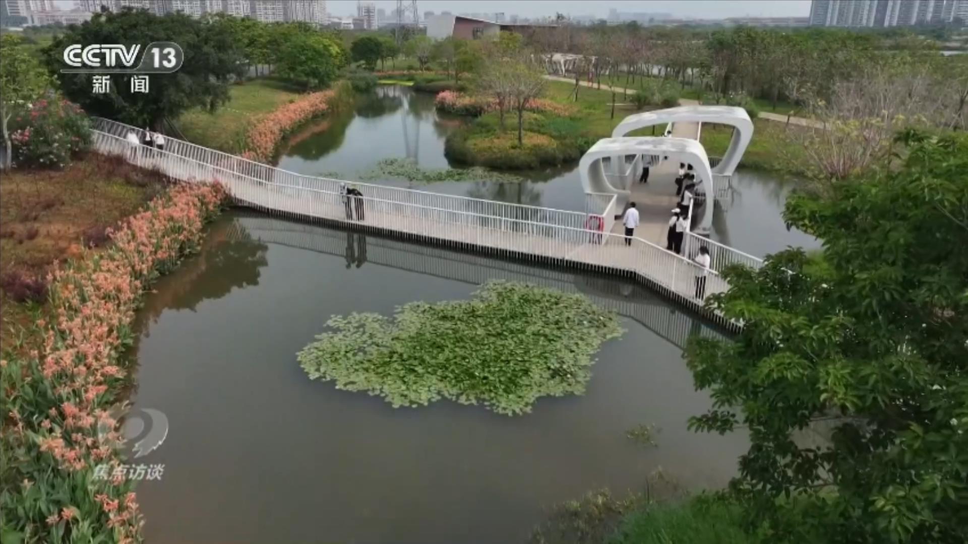 焦点访谈｜山海作答：中国生态修复的系统答卷(图8)