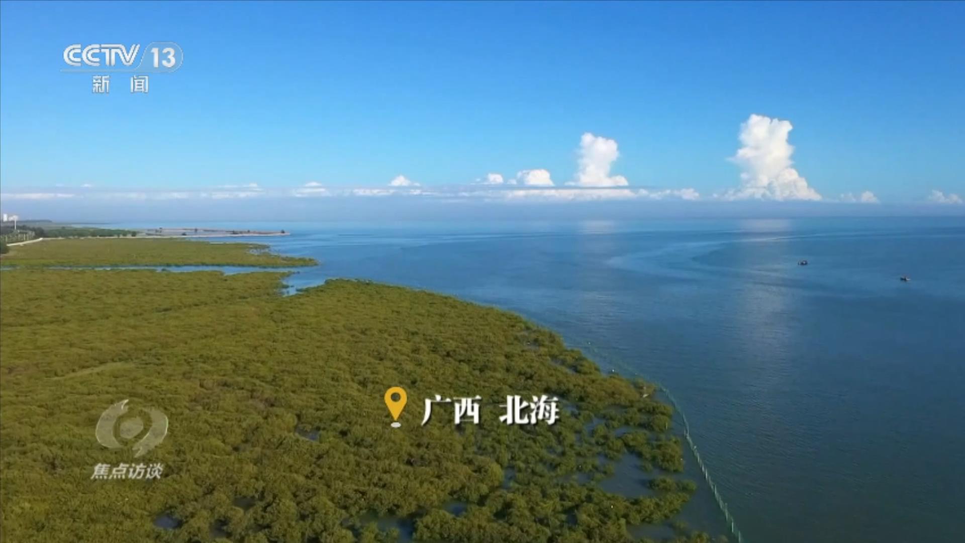 焦点访谈｜山海作答：中国生态修复的系统答卷(图7)