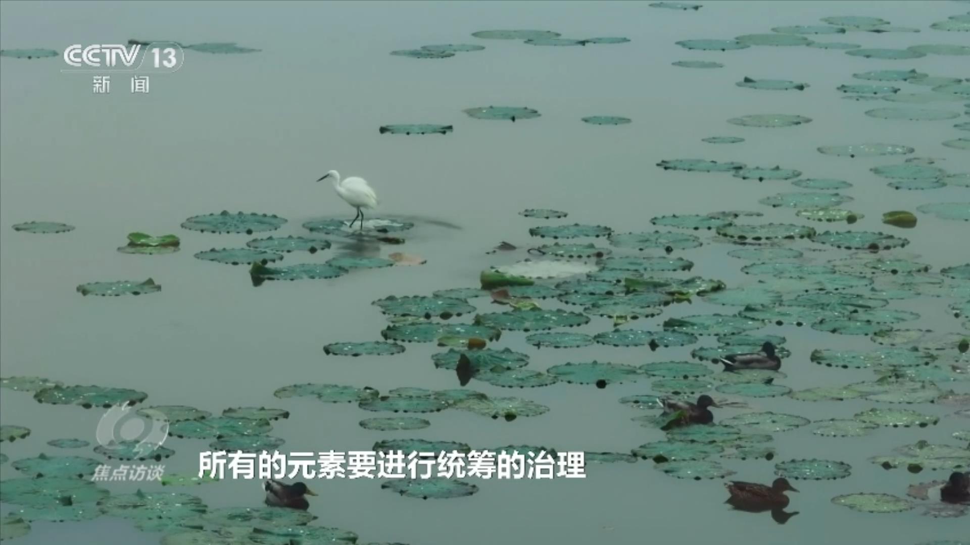 焦点访谈｜山海作答：中国生态修复的系统答卷(图3)